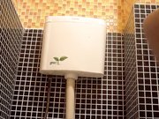 云上会所酒吧正面拍摄系列2各路高颜值美女聚集在一起