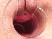 一本道人妻マンコ図鑑.