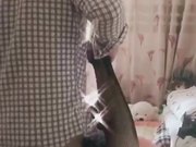 黑丝短裙漂亮美女剧情演绎没穿内裤的儿媳妇被公公绑起来操