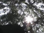 文艺小青年吴昊昊导演2019最新自拍小电影我爱出轨2