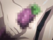 淫城に囚われし麗姫