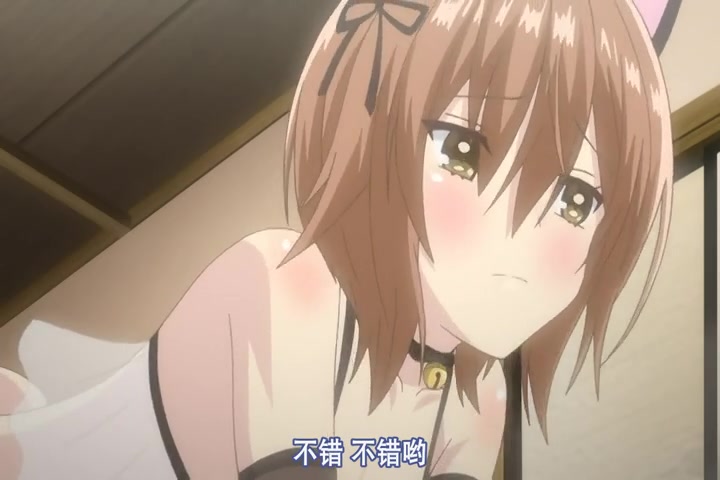 一个男人操了两个萝莉人妖