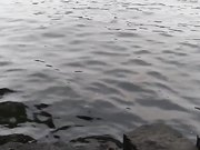 云盘被黑流出逗逼疯狂大胆情侣公共场合露出打炮公交车上口交