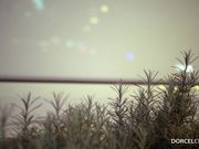 办公室里三个美人的性玩具