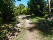 骑车到户外树林里打野炮的大屁股少妇