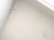 舔完逼逼抬起腿站立抽插女的一直说骚话