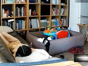 破解家庭网络摄像头少妇刚生完孩子不久在沙发上啪啪