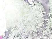 女主播穿足球服電瓶車上野戰還能爬樹上尿尿1