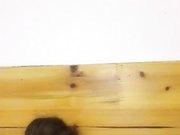 嫩妹子的木耳很肥美