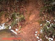 大爷野外嫖野鸡