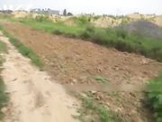 骚货野外夹着跳蛋 快到高潮时被强制爆操中出