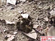 素人大胆挑战户外各种场合尿尿直播