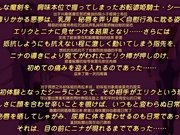 傲娇魔剑姬超好色2