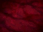 绿眼大姊揪感心THE ANIMATION