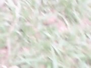 太牛逼了大白天帅哥和妹子马路边车来车往的草地上露出做爱