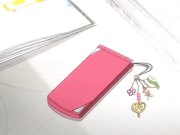 母姉妹調教日記～第一話