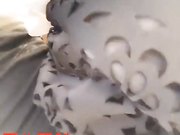 少女玉儿公园偷情