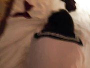 性感绝美女神扮演cosplay出名后为了5000元与土豪高级酒店啪啪