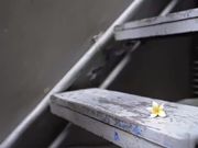 国产AV巨作兄妹蕉谈 近亲之间的荒唐性爱