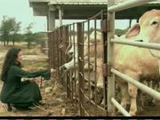 明星舒淇裸体唯美诱惑写真秀2