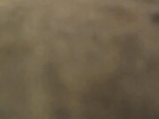 某商场买衣服认识的气质美女老板娘混熟后没多久约到家中啪啪