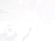 天然恋色アルコール 後編 ヒミツノハナゾノSoney Snow