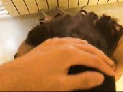 与极品丰满人妻小V宾馆偷情 黑丝长腿有点驾驭不了