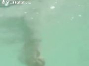 珍藏惊艳清纯美女rina 最爱她的各种骚