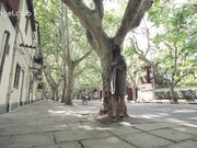 极品网红『北京天使』Fox 上海行-在人流攒动的闹市和商场 全裸露出放飞自我