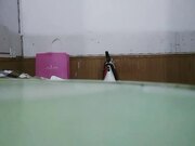 零零后小伙路边按摩店找按摩女体验姐姐会错意思说舔很脏到出租屋吃快餐