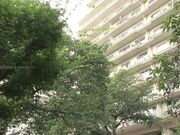 抱かれたくない男に死にたくなるほ… 白石茉莉奈 商