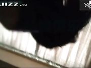 秦先生第七部最新发表-公寓爆操黑丝空姐装琪琪 被调教的越来越骚了