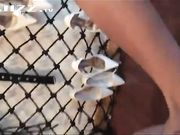 高清国语女主系列 极品女神制服诱惑高跟足交舔阴技术超好