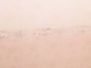 国民女神展示性感豹纹内裤大奶子抖啊抖真可爱