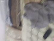 落地窗前大力爆操身穿情趣小内内的小姨子 逼逼很滑一直在流水