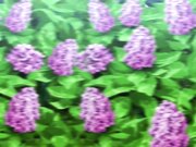 回复术士的重启人生 - 第1集